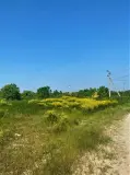 Фотография ЖК