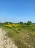 Фотография ЖК