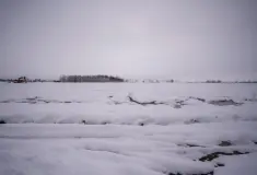 Фотография ЖК