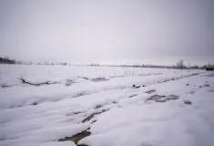 Фотография ЖК